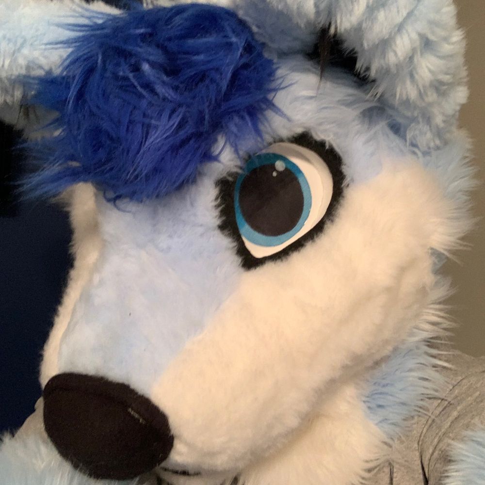Zero The Fox