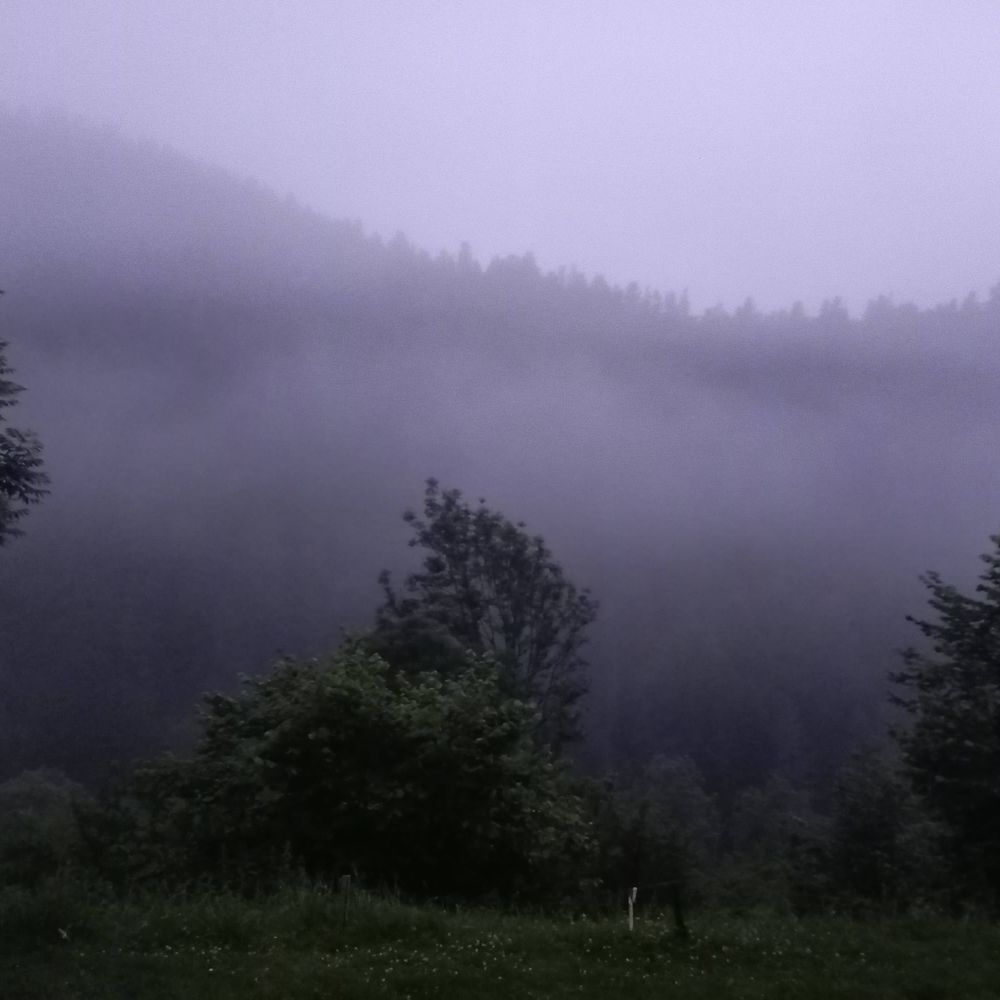 Anne Lec'hvien