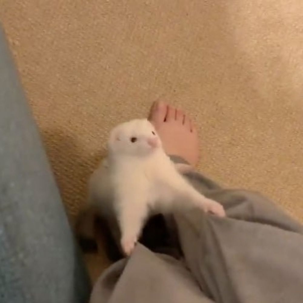 꼄