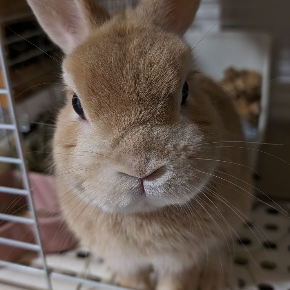 しんや