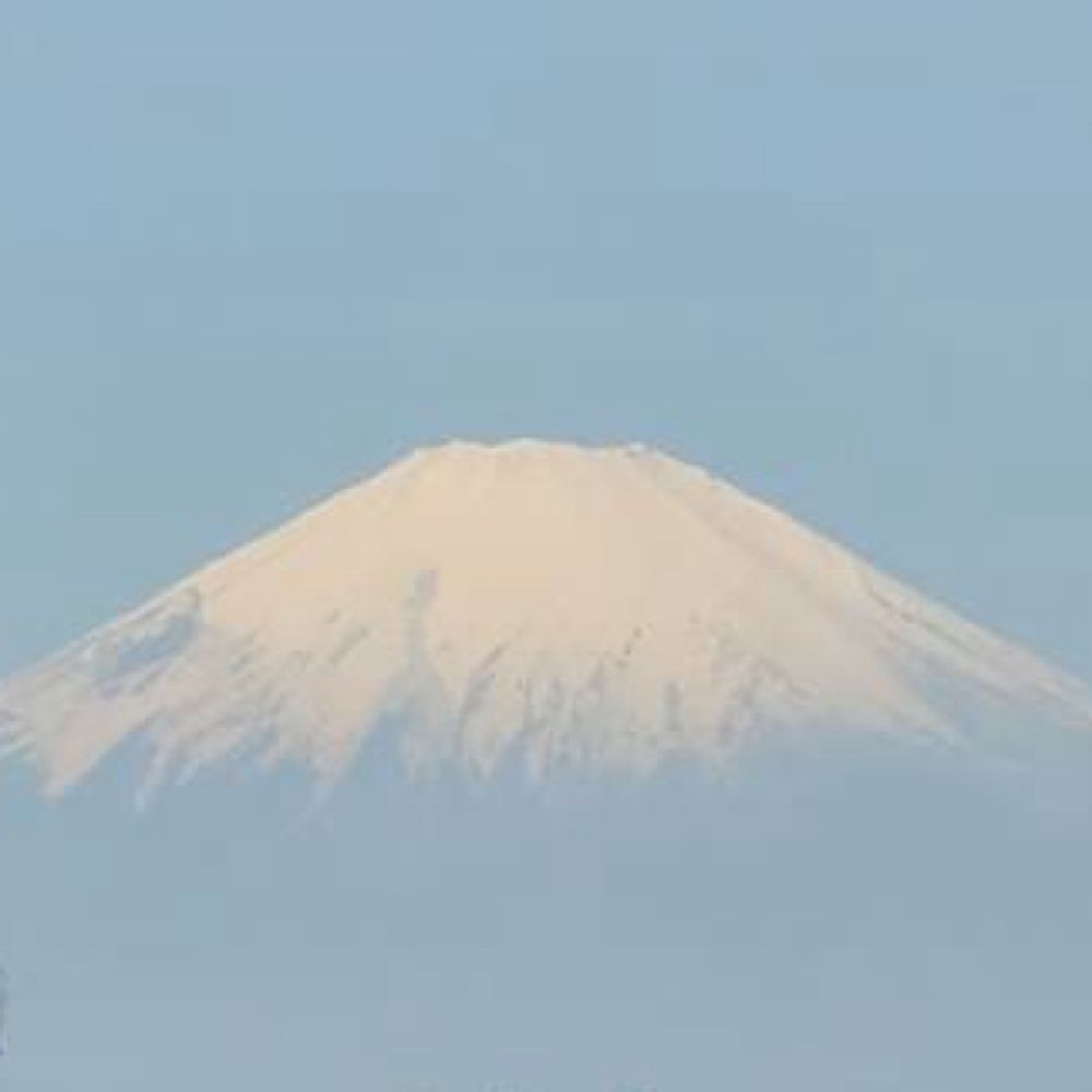 ぐっち