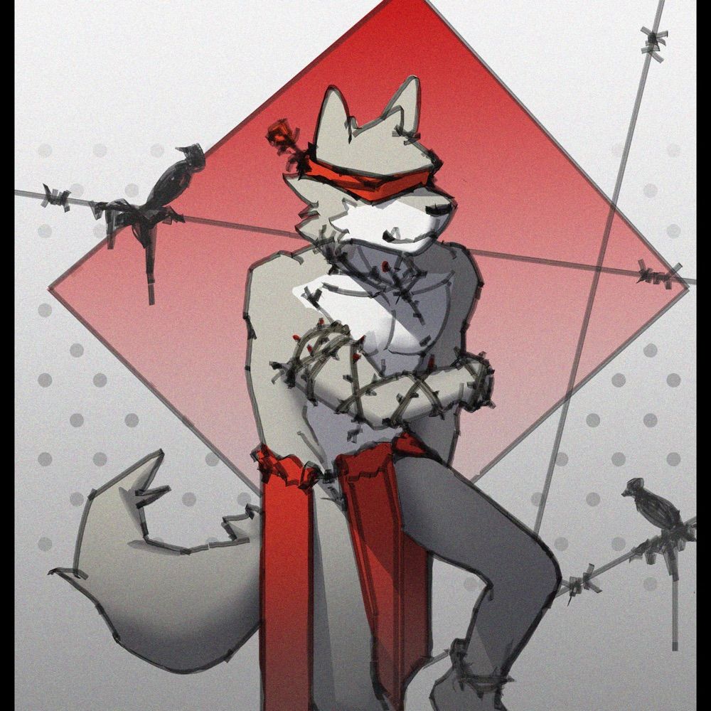 泉邃/科恩