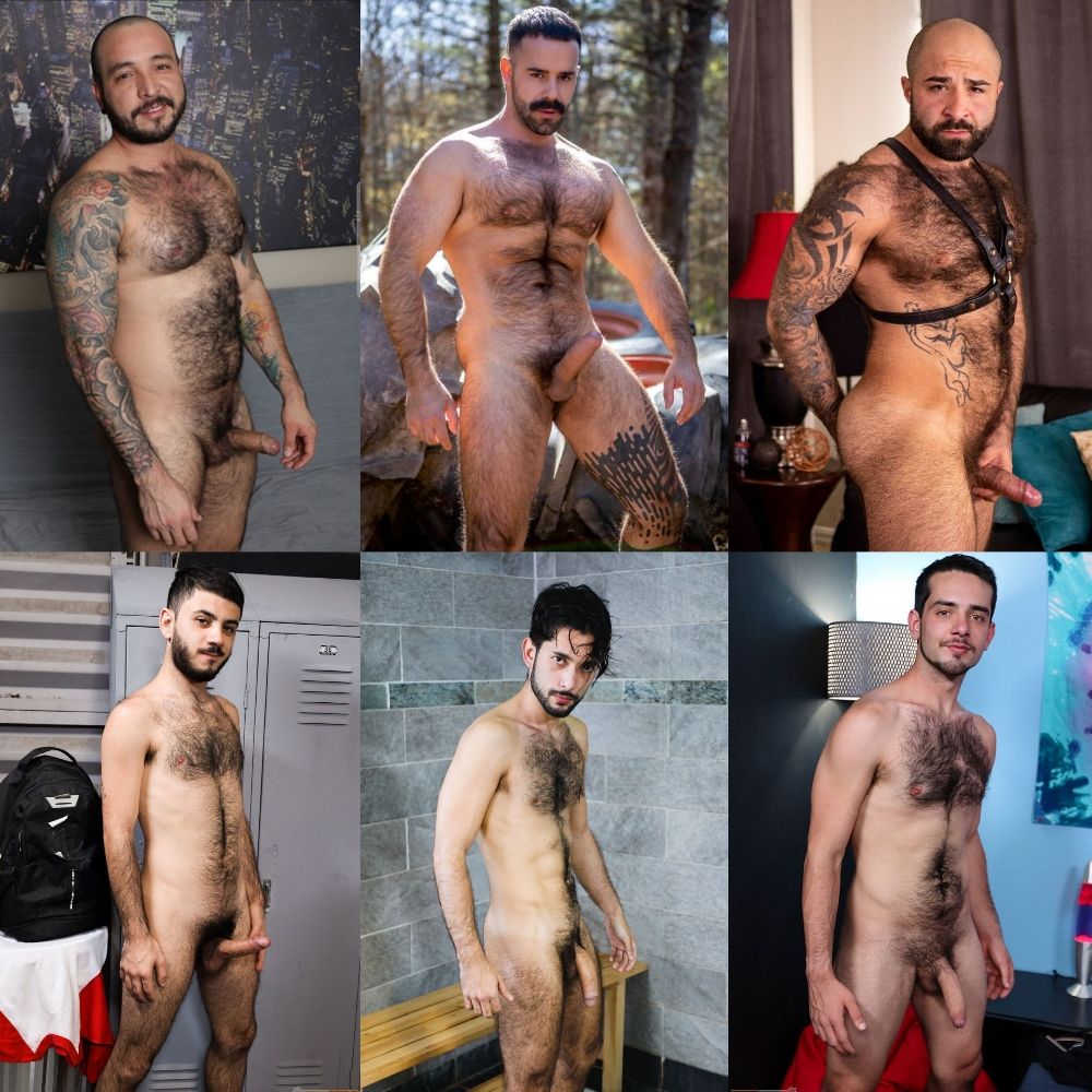 Hirsute Harem