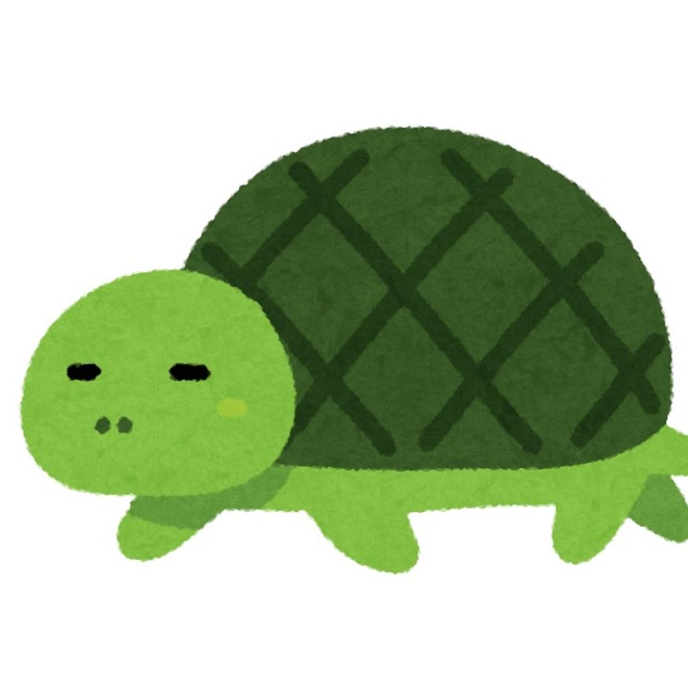 まいち🐢