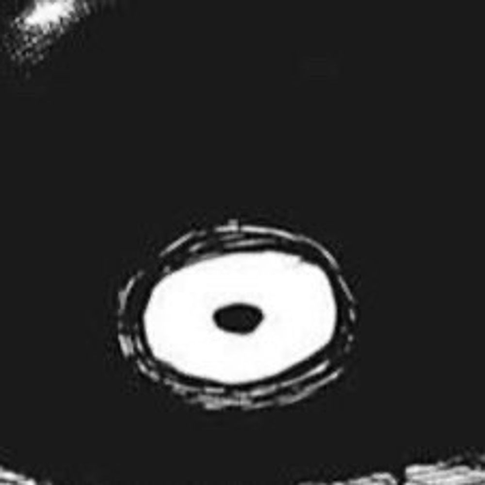 牛