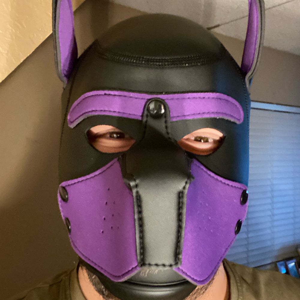 Pup Munch🐶's avatar