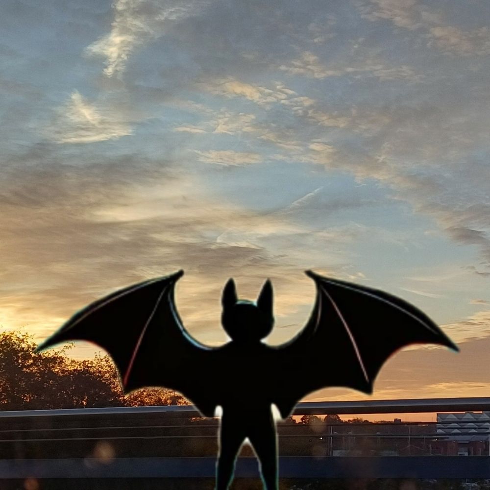 Fledermaus 🦇🪞