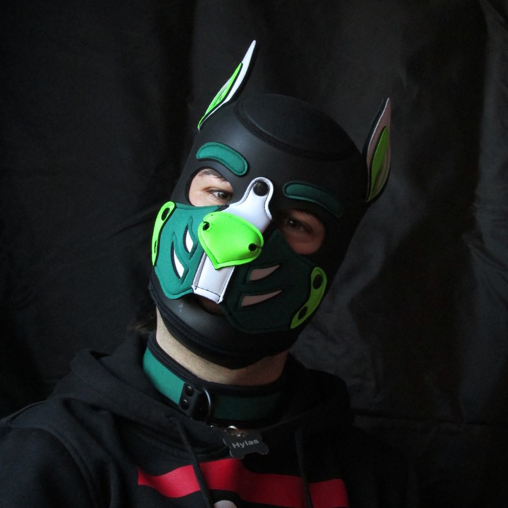 Pup Hylas
