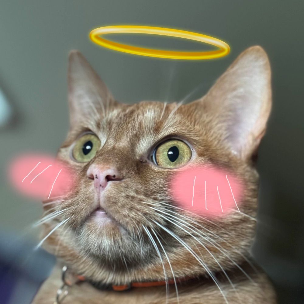 KireiX