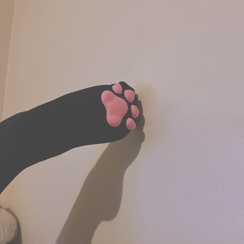 padded pup ! SCAMP 18+