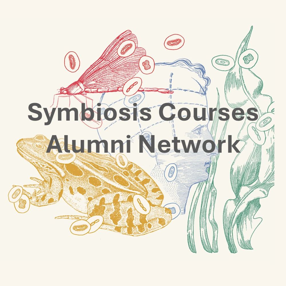 The Symbiosis Courses Alumni Network