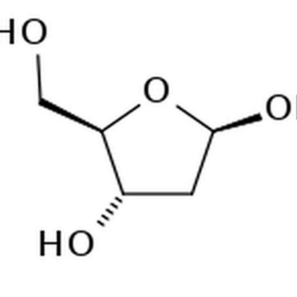 五碳糖-Pentose
