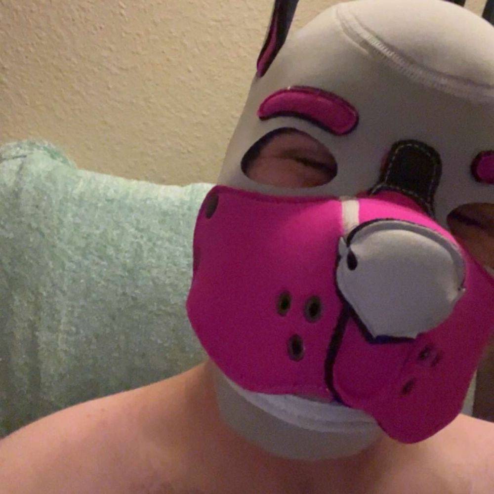 Pup Tab