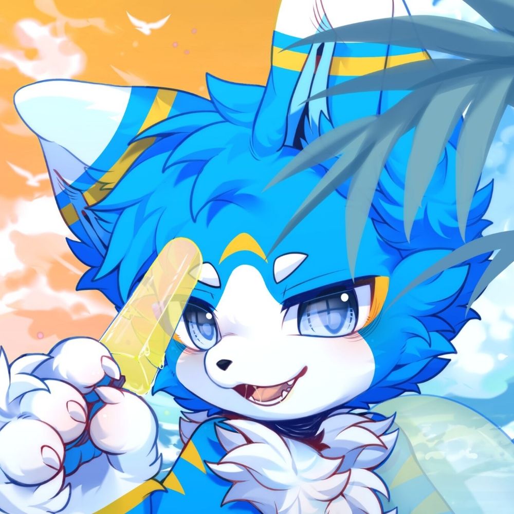 蘭森CSN