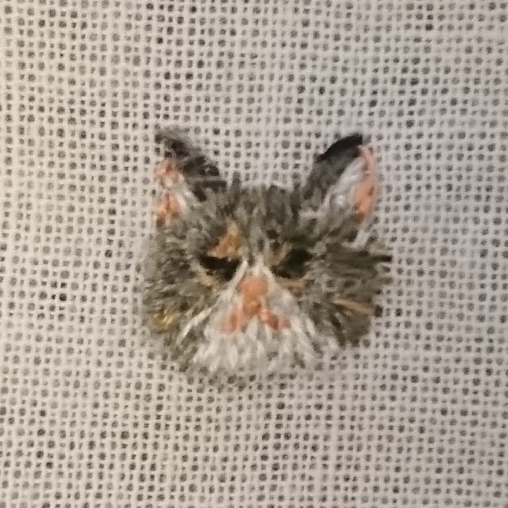 ぶんか