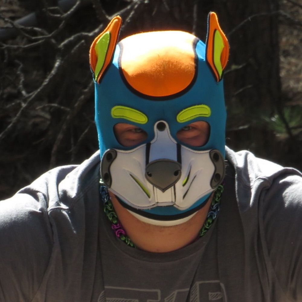 Pup_Blue