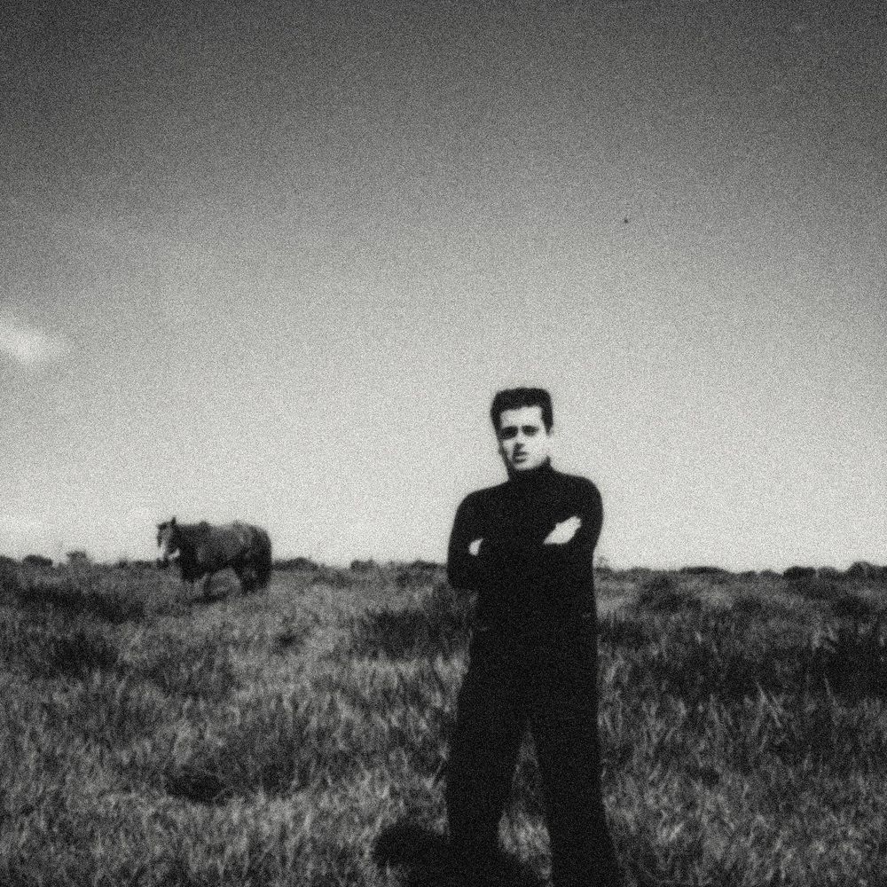 victor furlan