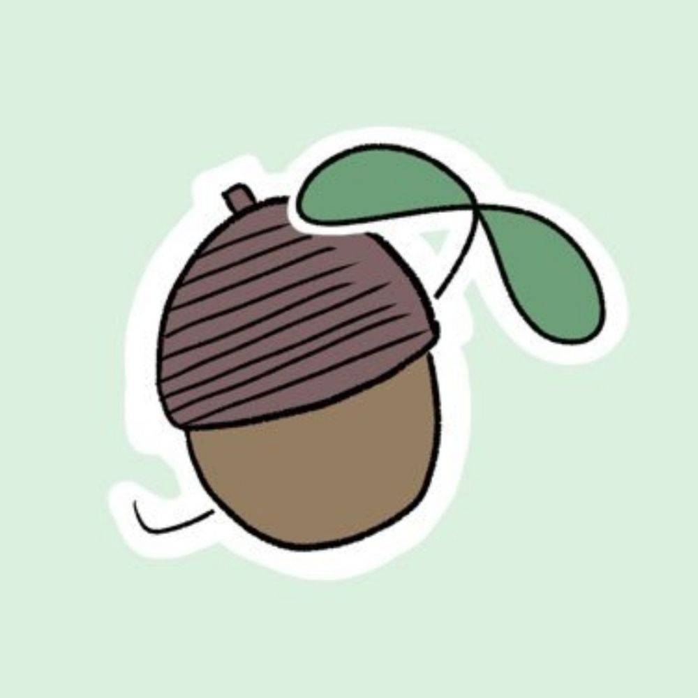 えいこーん