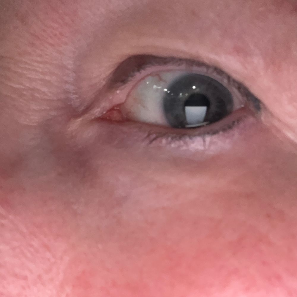 stopthelies47.bsky.social profile picture