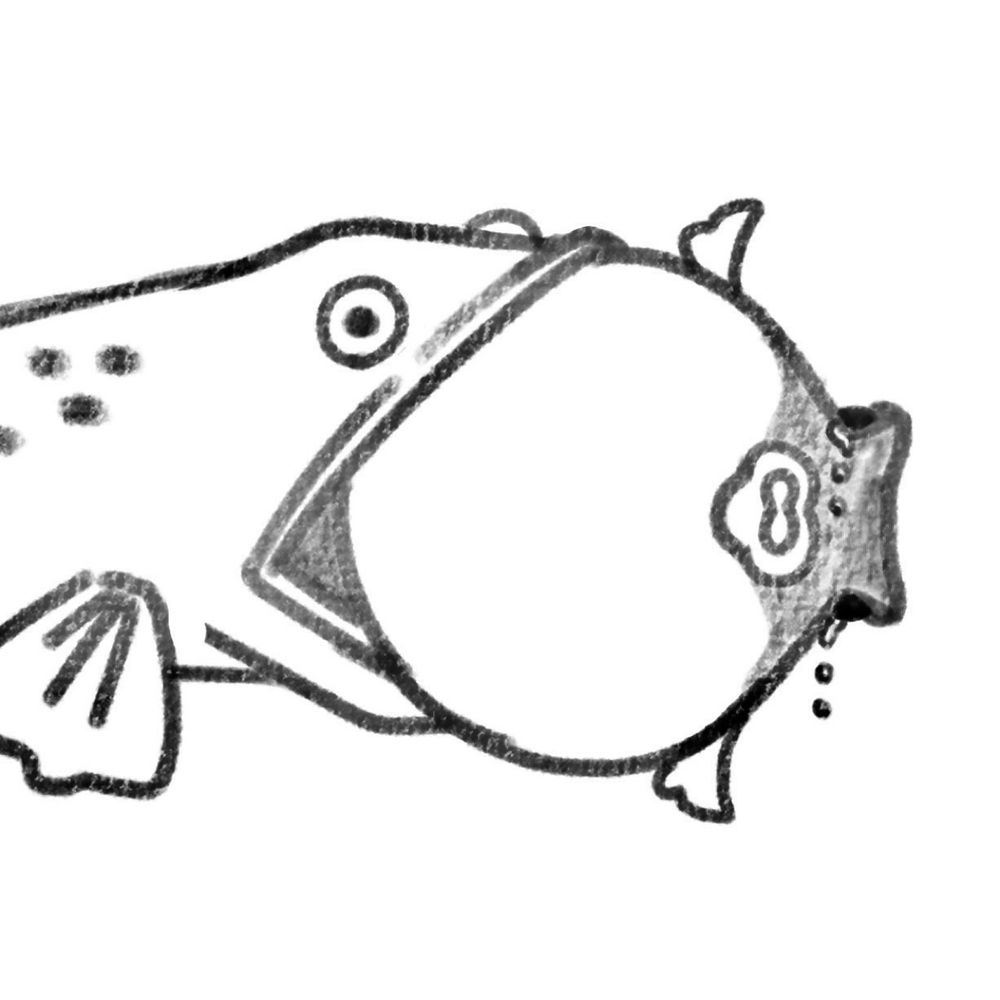 🐡