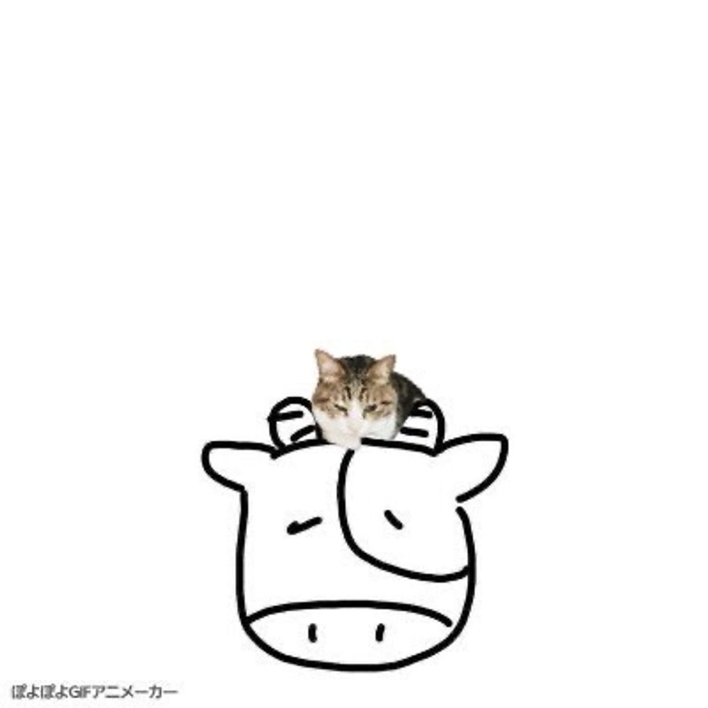 wagiu