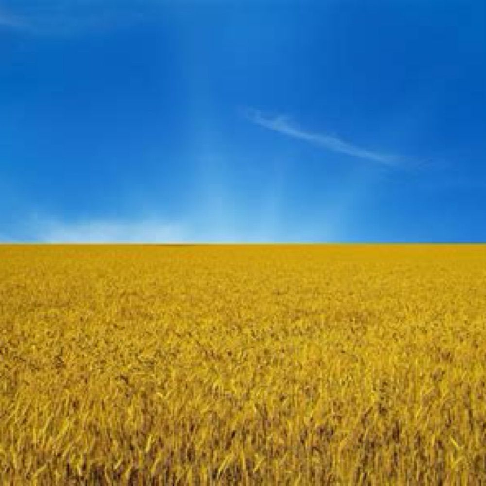 soldyrkare