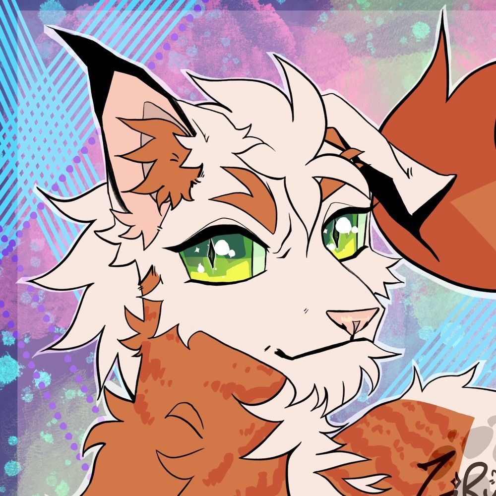 𓈒⟡₊⋆ zoiryu