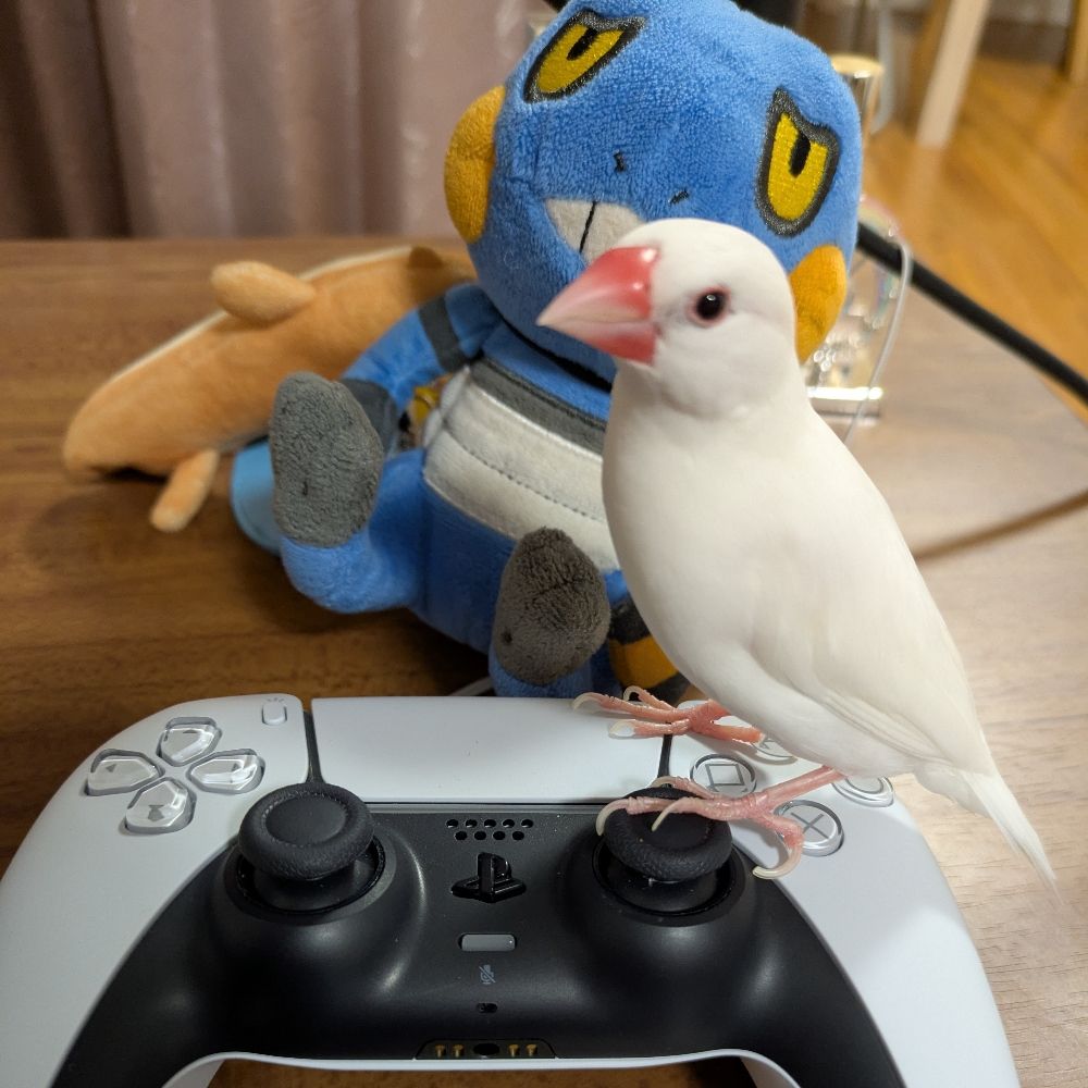 しなおさん