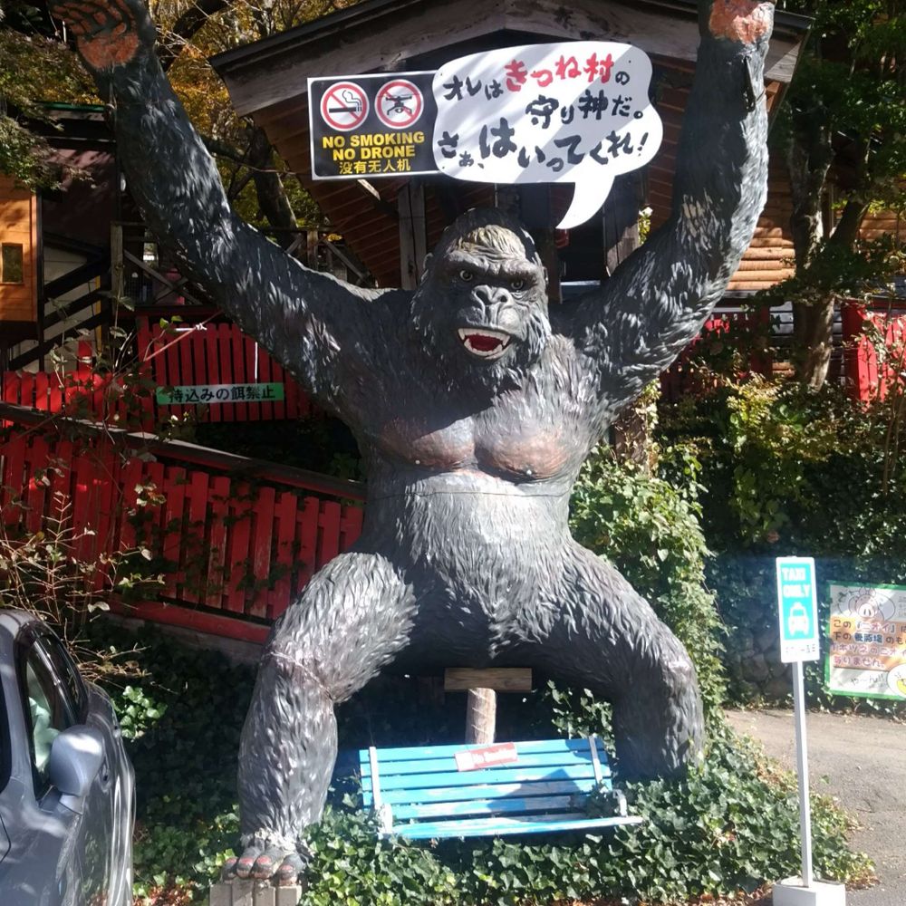 へそかど