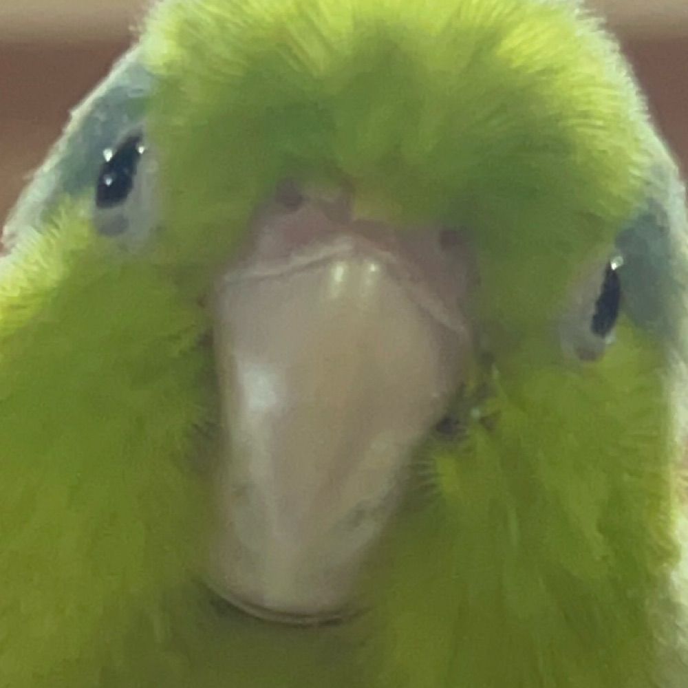JR