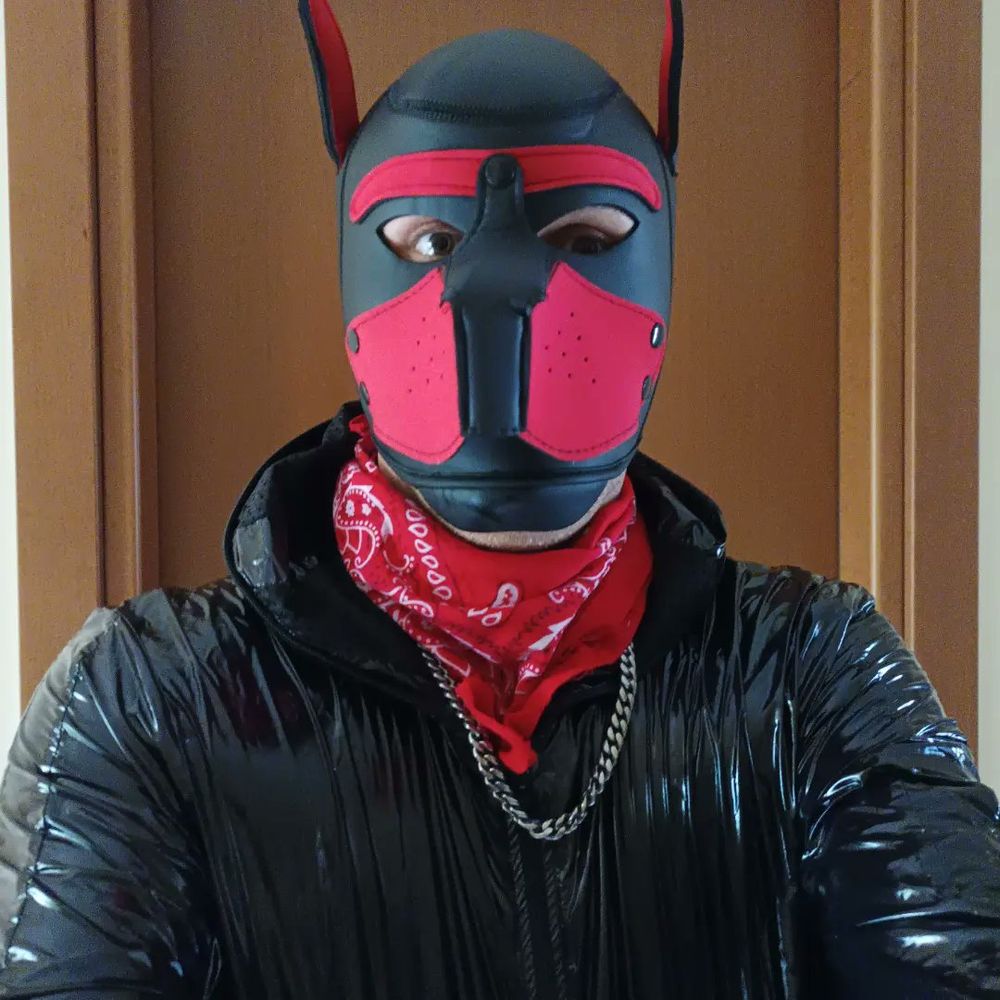 Pup Skorpio
