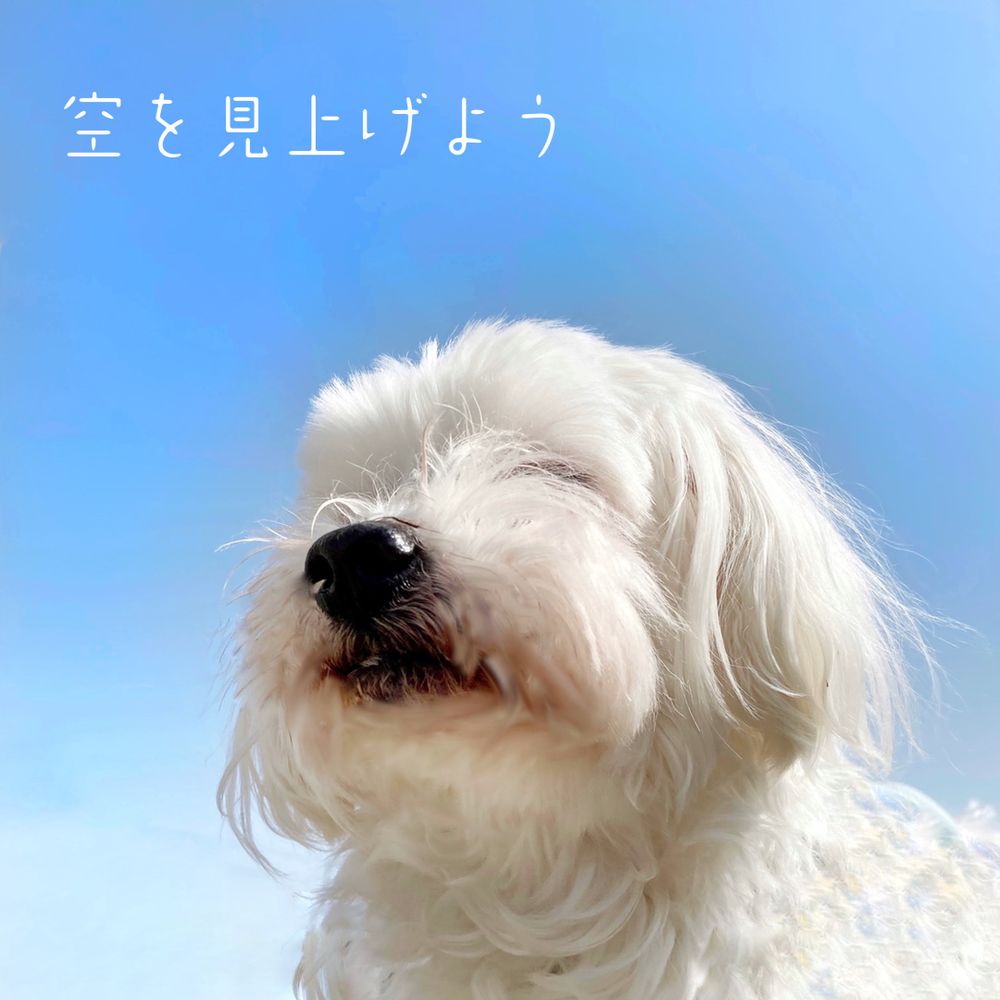 まる