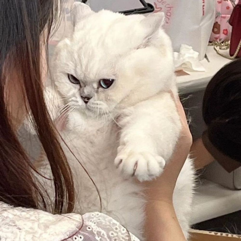 น้อนแก้ม 