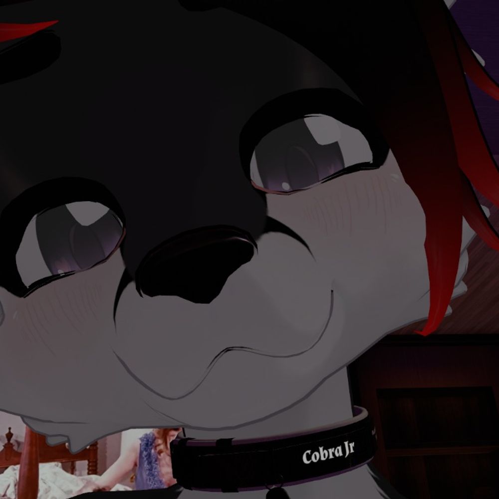CobraJr