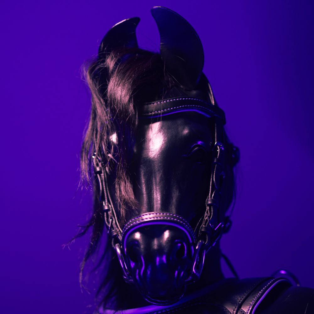 𝙎𝙥𝙚𝙘𝙩𝙧𝙚 𝙋𝙤𝙣𝙮