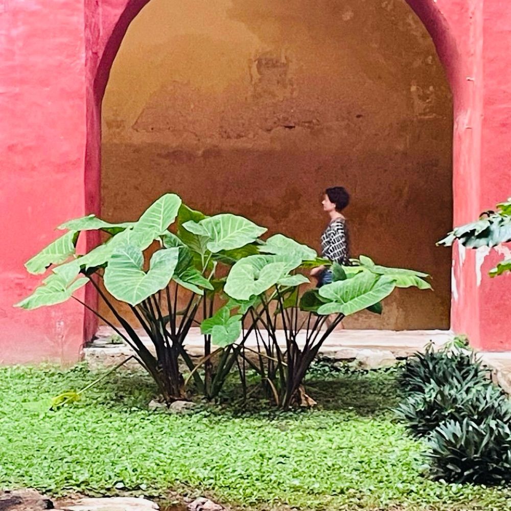 Dora Vargha