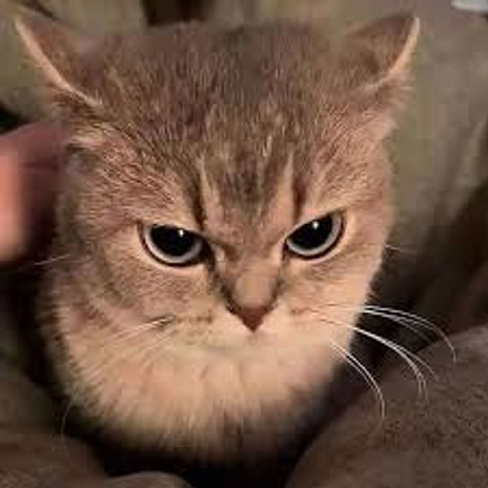 notsoluluseless