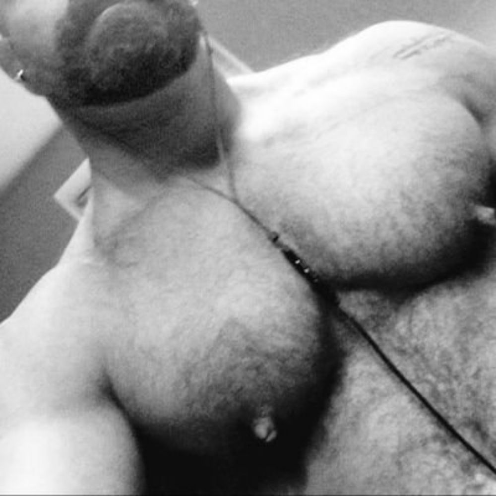 BoerBull3