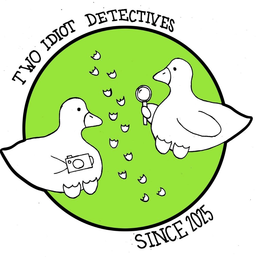 Two Idiot Detectives