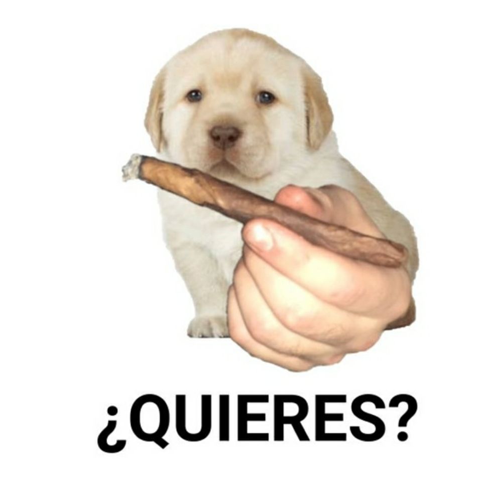 ¿QUIERES?