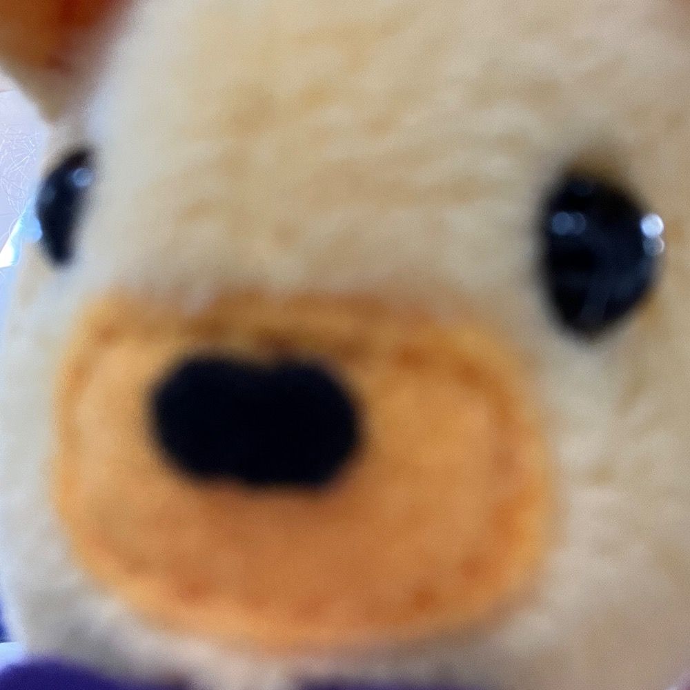 Beefox15