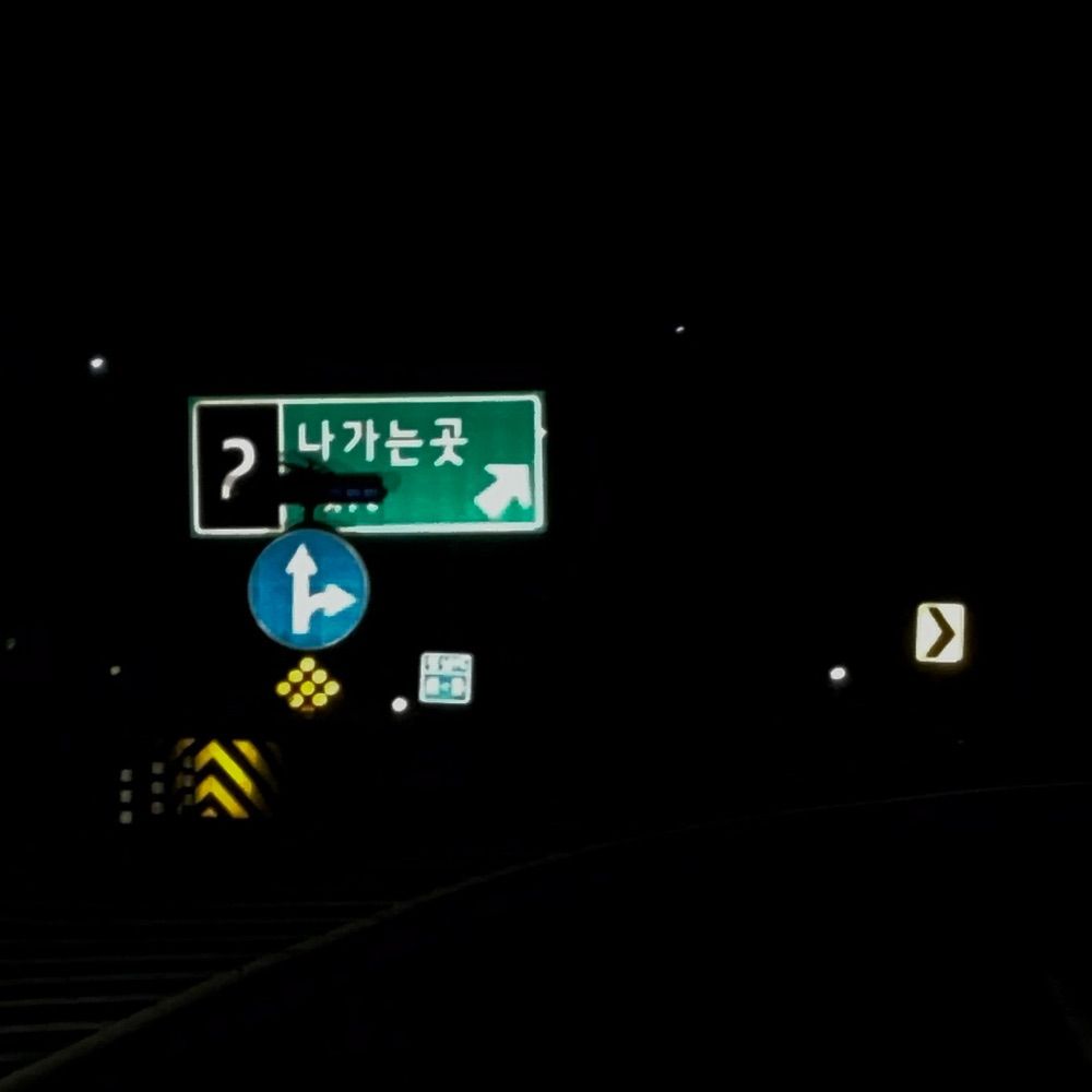 뒤정이