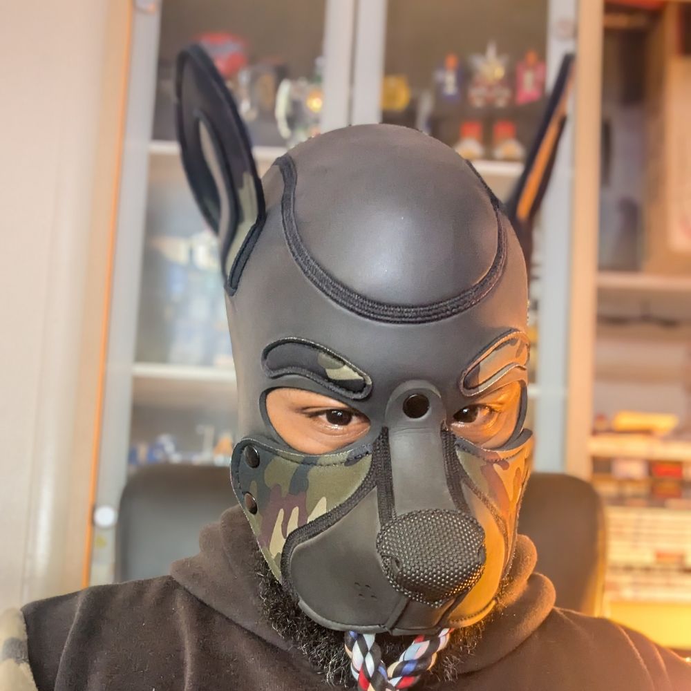 Pup Bear