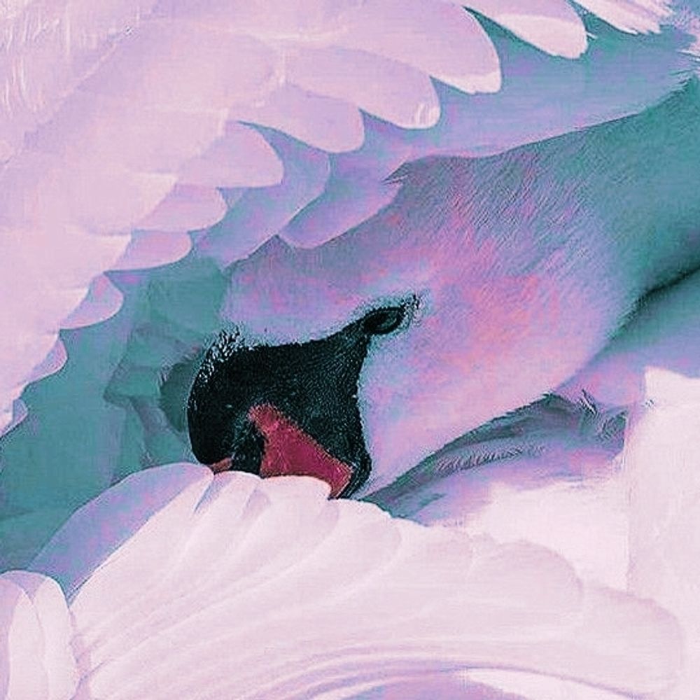 Ev ✩🪽⋆*