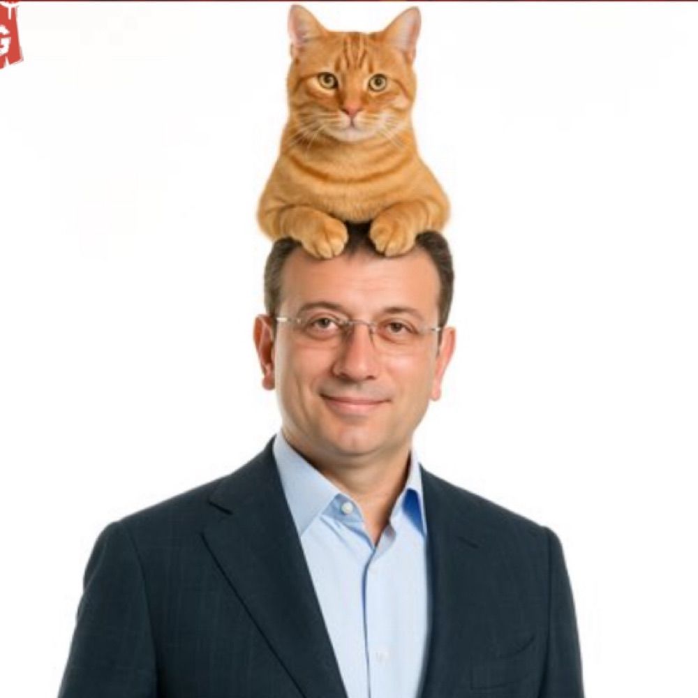 zeynep