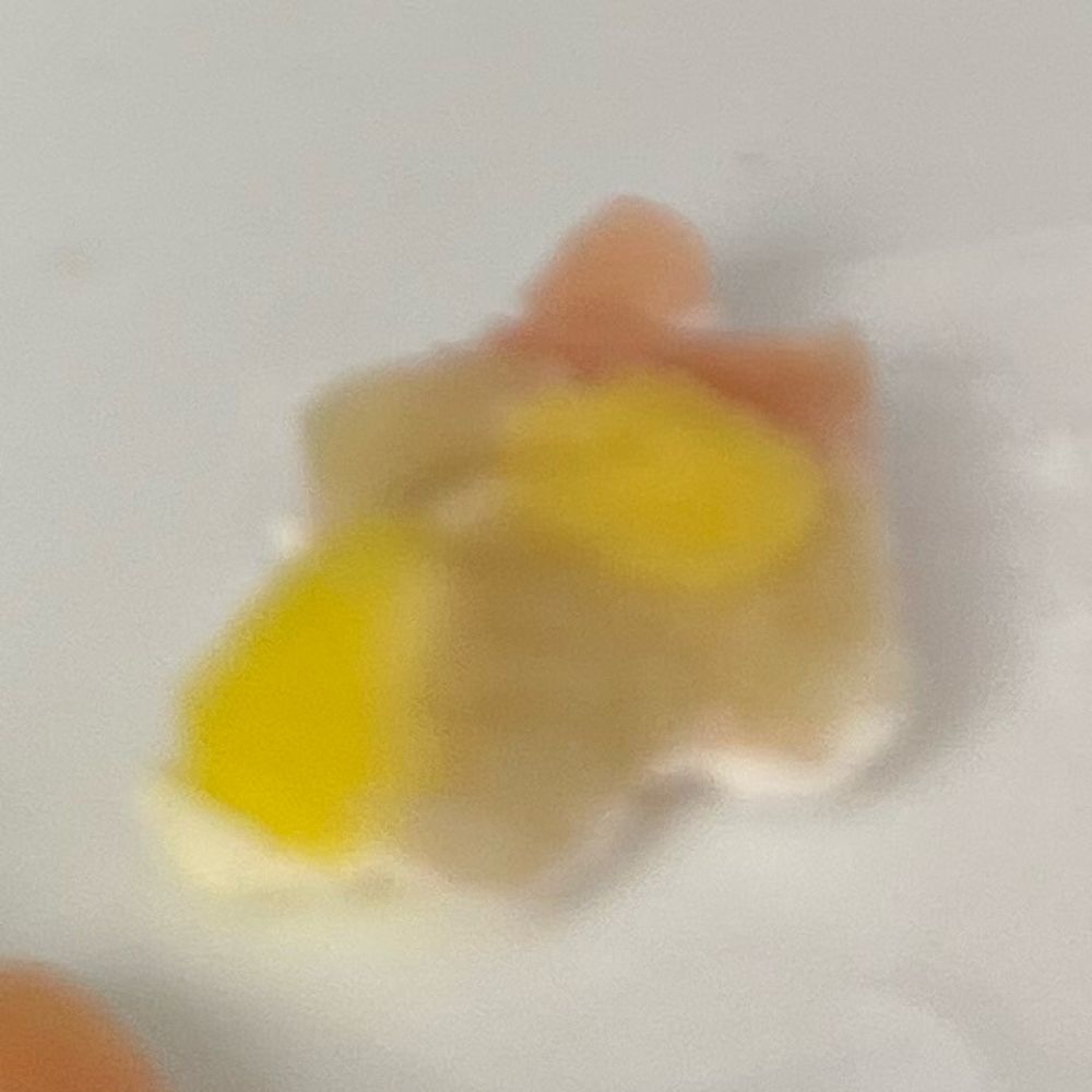 みゃーくん