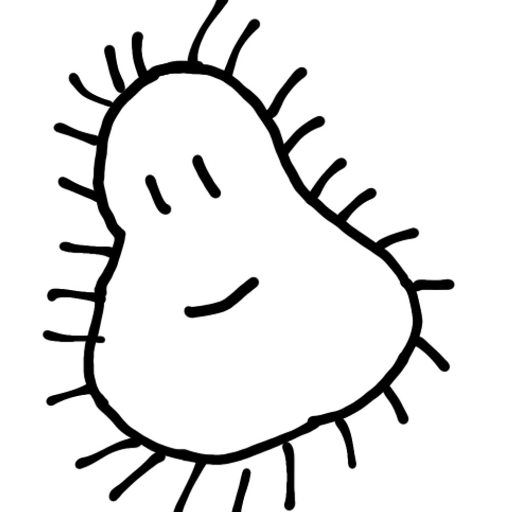 こんぐ