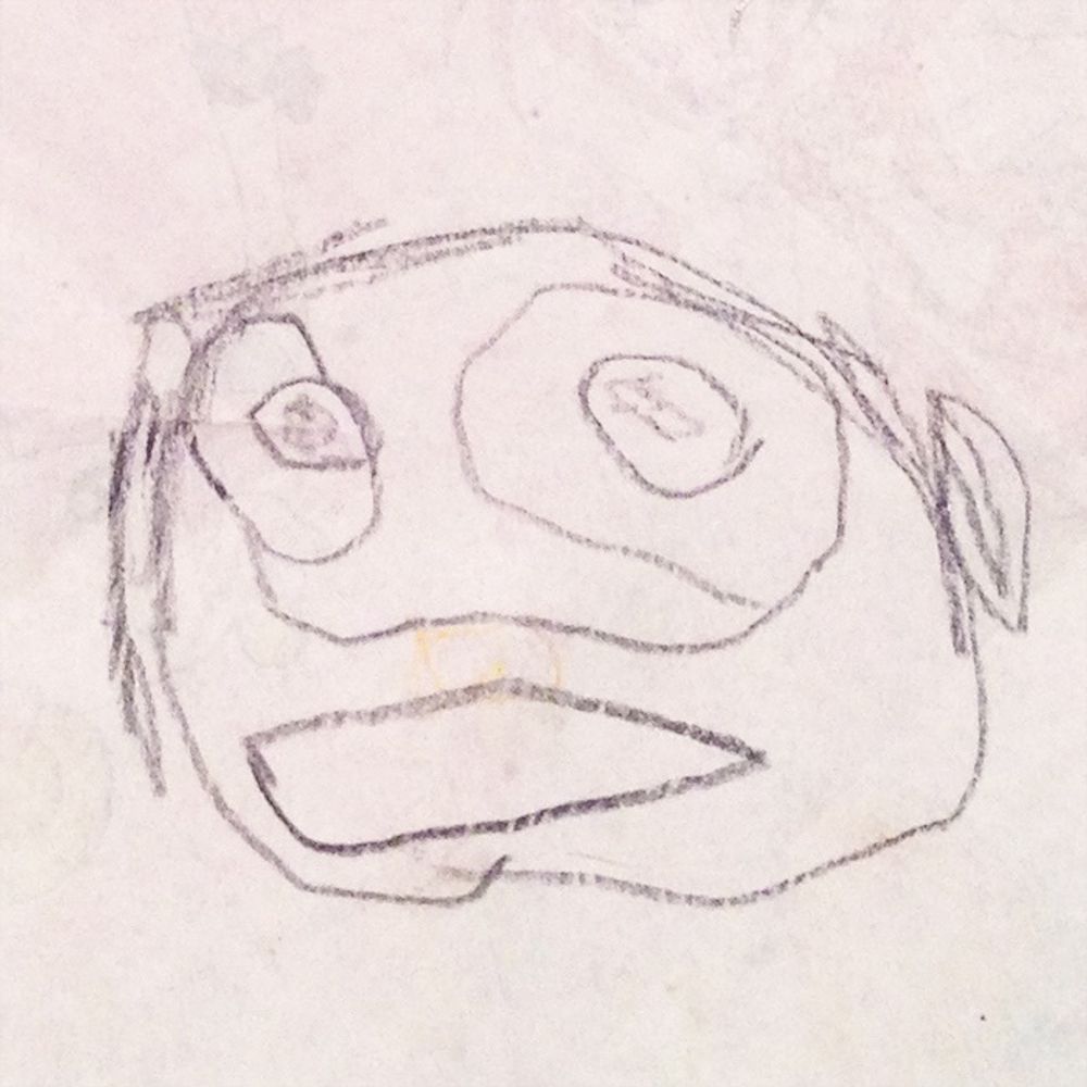 HY