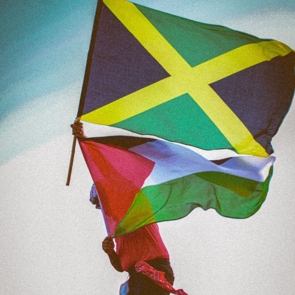Read Walter Rodney