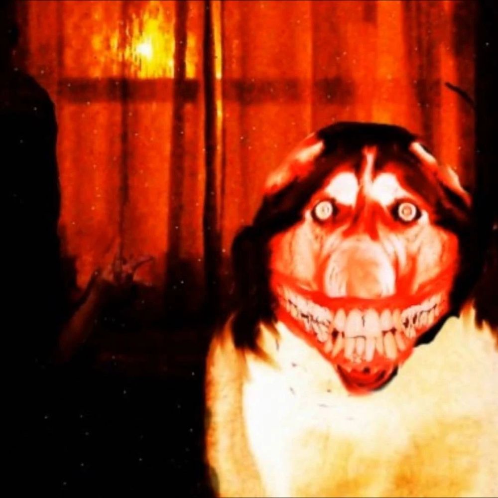 smile dog